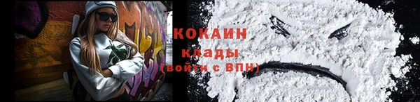 гидра Вяземский