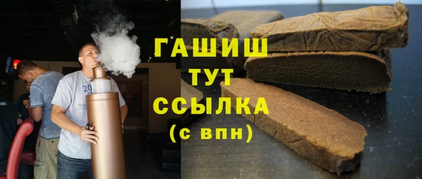 гидра Вяземский