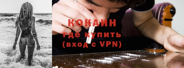 гидра Вяземский