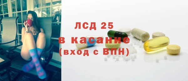 гидра Вяземский