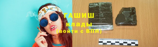 гидра Вяземский