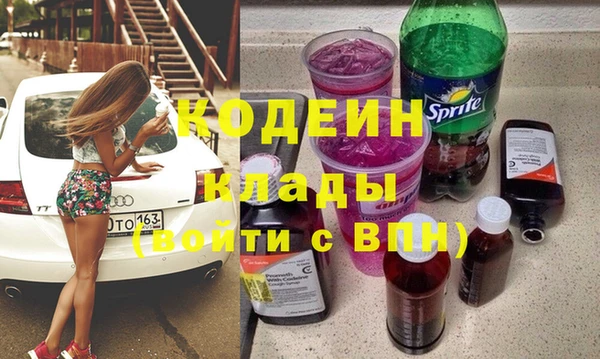 гидра Вяземский
