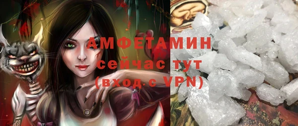 гидра Вяземский