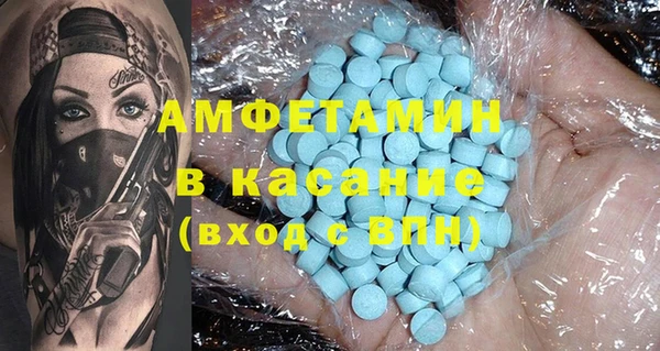 гидра Вяземский
