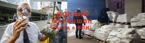 гидра Вяземский