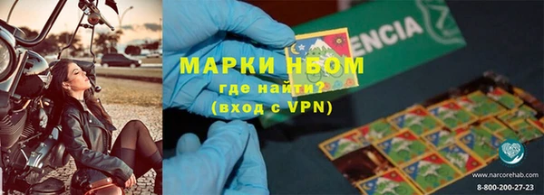 гидра Вяземский