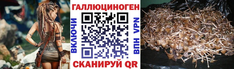 Псилоцибиновые грибы Psilocybe  Певек 
