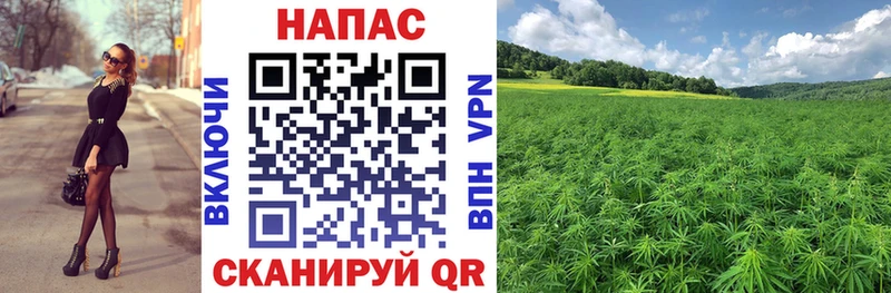 Канабис Bruce Banner Певек